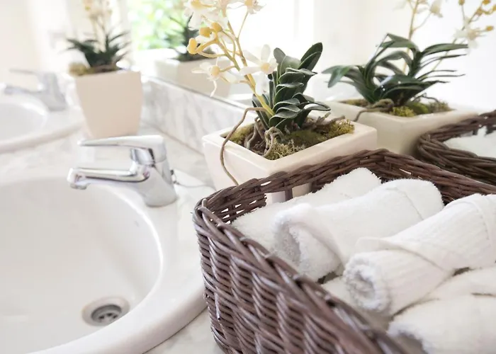 Bed & Breakfast De Franchy La Orotava